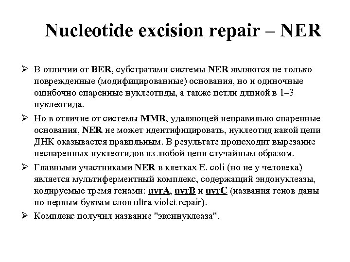Nucleotide excision repair – NER Ø В отличии от BER, субстратами системы NER являются
