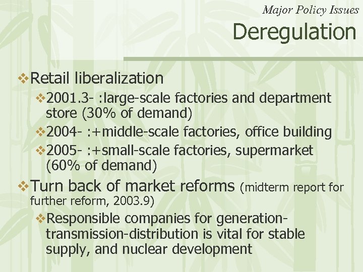 Major Policy Issues Deregulation v Retail liberalization v 2001. 3 - : large-scale factories