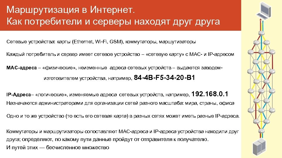 Маршрутизация в Интернет. Как потребители и серверы находят друга Сетевые устройства: карты (Ethernet, Wi-Fi,