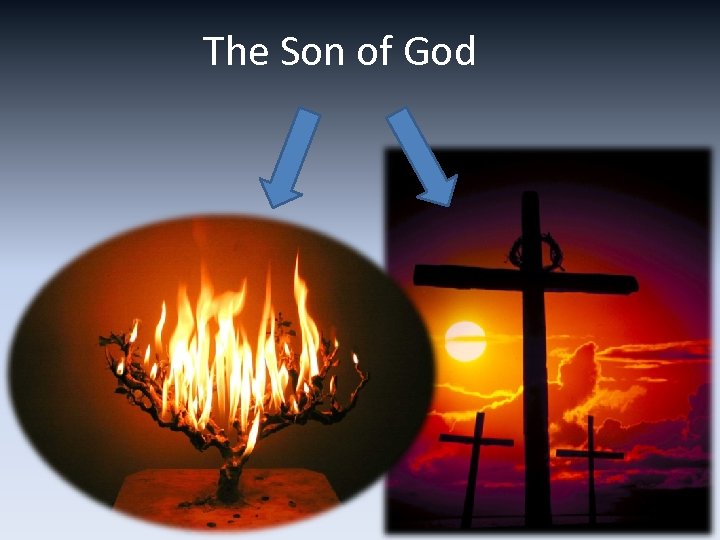 The Son of God 