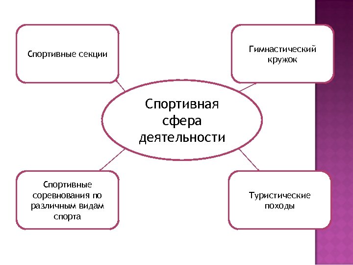 Гимнастический кружок Спортивные секции Спортивная сфера деятельности Спортивные соревнования по различным видам спорта Туристические