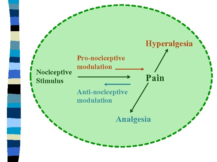 Hyperalgesia Nociceptive Stimulus Pro-nociceptive modulation Pain Anti-nociceptive modulation Analgesia 
