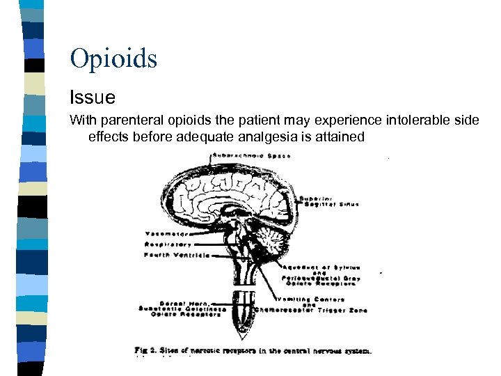 Opioids Issue With parenteral opioids the patient may experience intolerable side effects before adequate