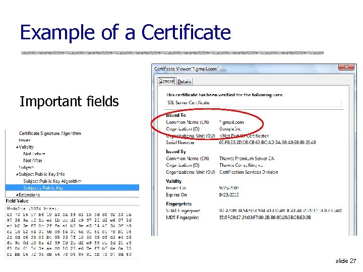Example of a Certificate Important fields slide 27 