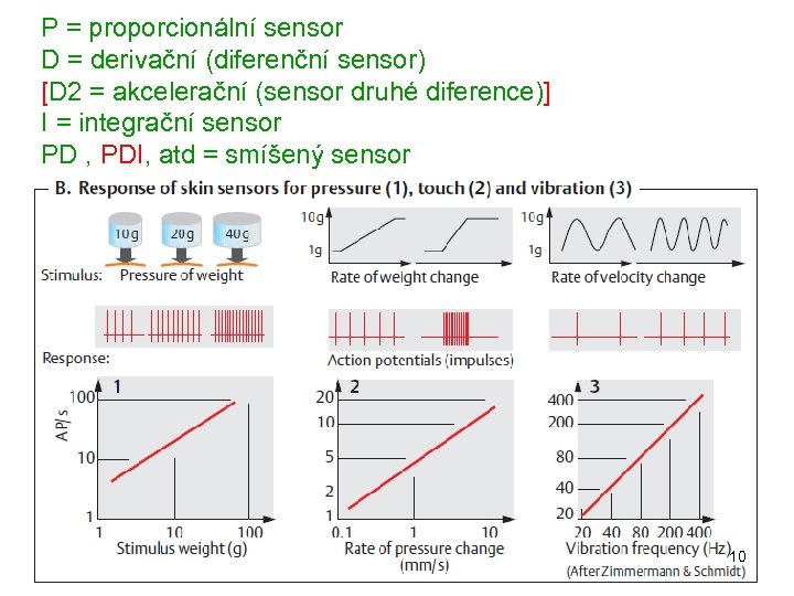 P = proporcionální sensor D = derivační (diferenční sensor) [D 2 = akcelerační (sensor