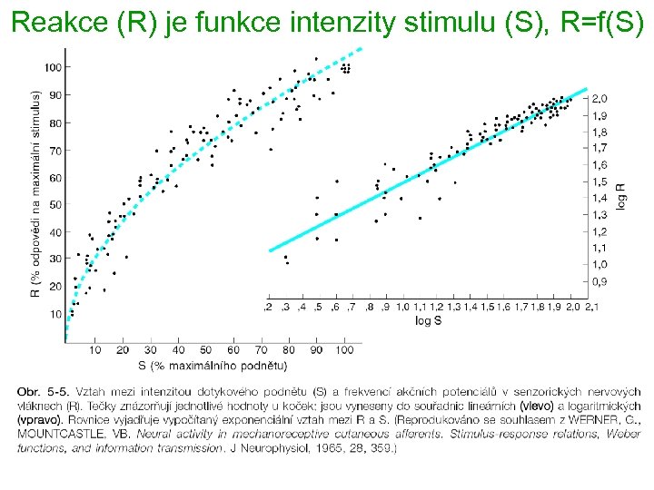 Reakce (R) je funkce intenzity stimulu (S), R=f(S) 2 