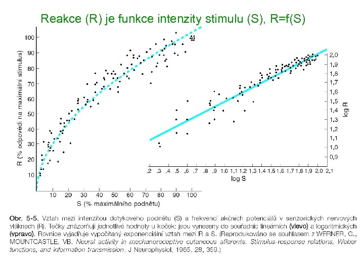 Reakce (R) je funkce intenzity stimulu (S), R=f(S) 20 