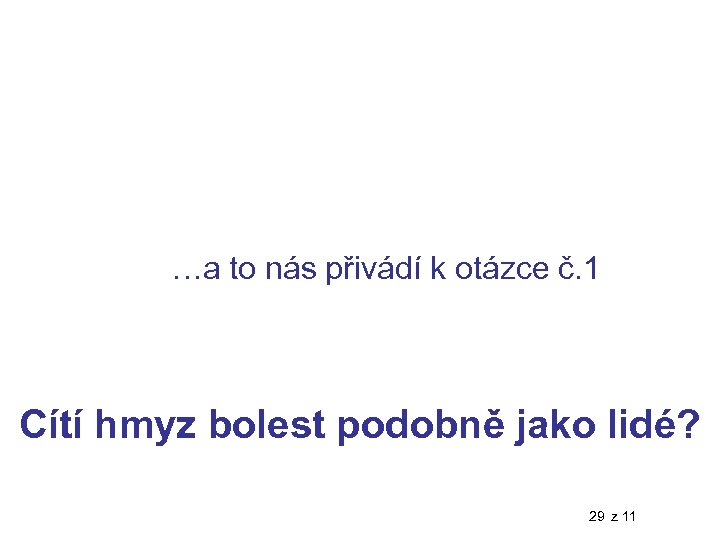 …a to nás přivádí k otázce č. 1 Cítí hmyz bolest podobně jako lidé?