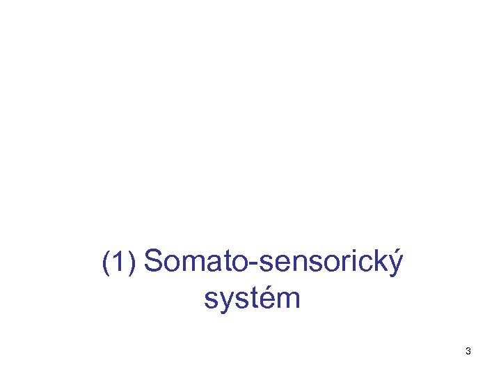 (1) Somato-sensorický systém 3 