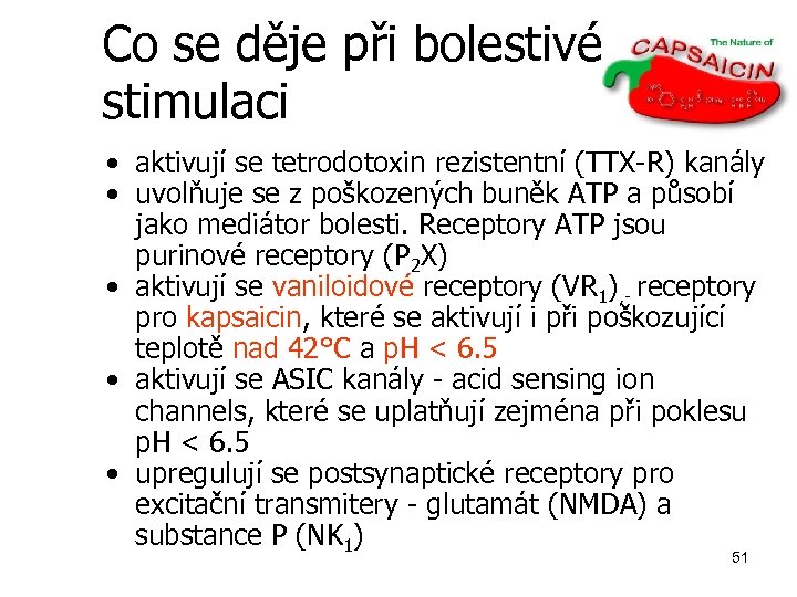 Co se děje při bolestivé stimulaci • aktivují se tetrodotoxin rezistentní (TTX-R) kanály •