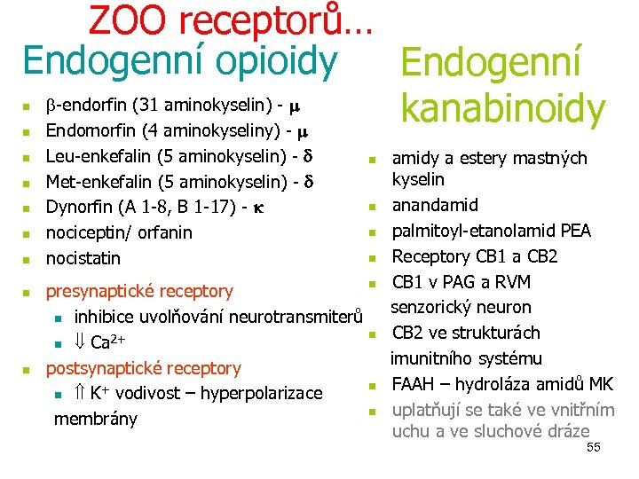 ZOO receptorů… Endogenní opioidy Endogenní -endorfin (31 aminokyselin) - kanabinoidy Endomorfin (4 aminokyseliny) -