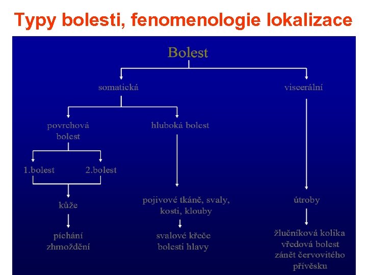 Typy bolesti, fenomenologie lokalizace 56 