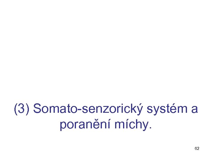 (3) Somato-senzorický systém a poranění míchy. 62 