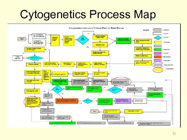 Cytogenetics Process Map 11 