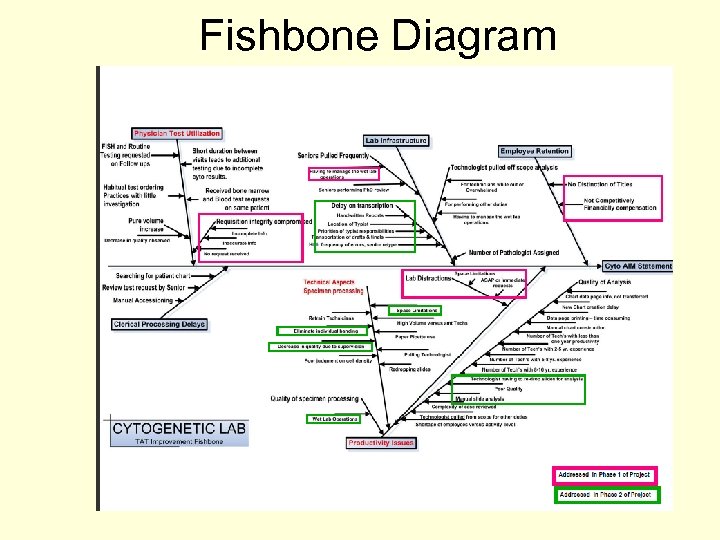 Fishbone Diagram 