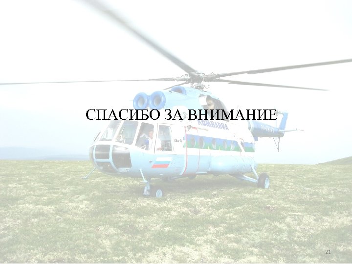 СПАСИБО ЗА ВНИМАНИЕ 21 