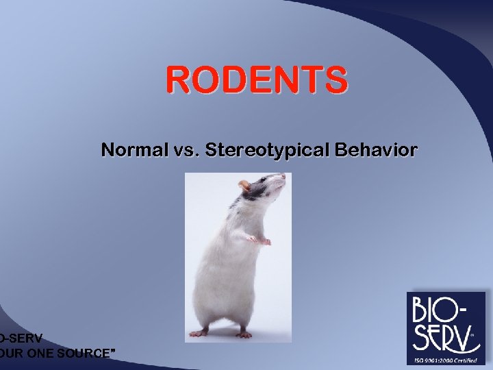 RODENTS Normal vs. Stereotypical Behavior O-SERV OUR ONE SOURCE” 