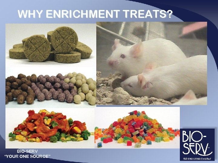 WHY ENRICHMENT TREATS? BIO-SERV “YOUR ONE SOURCE” 