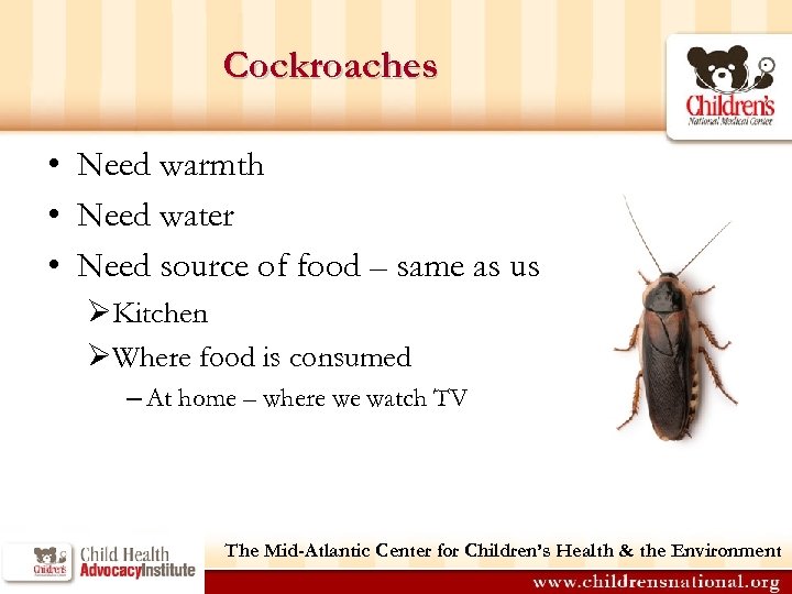 Cockroaches • Need warmth • Need water • Need source of food – same