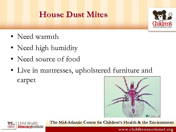 House Dust Mites • • Need warmth Need high humidity Need source of food