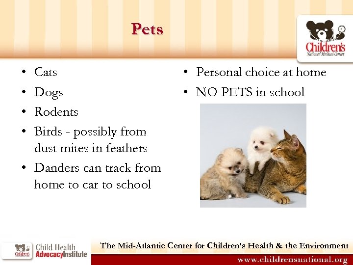 Pets • • Cats Dogs Rodents Birds - possibly from dust mites in feathers