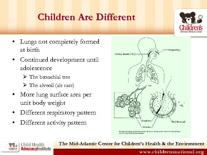 Children Are Different • Lungs not completely formed at birth • Continued development until