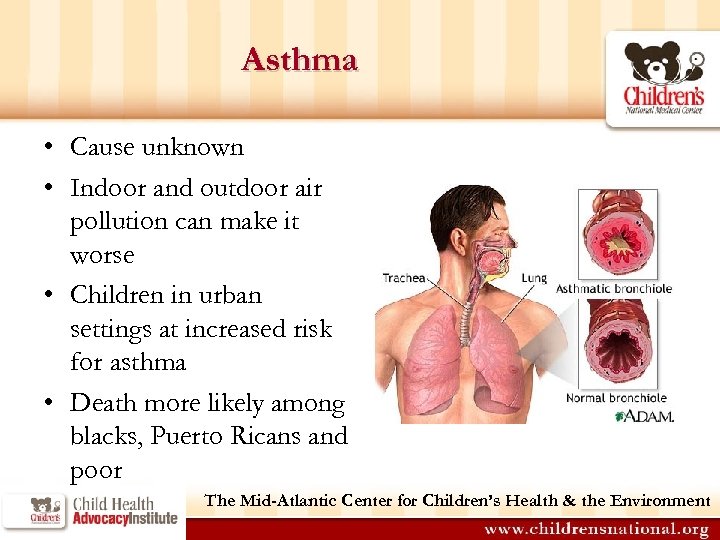 Asthma • Cause unknown • Indoor and outdoor air pollution can make it worse