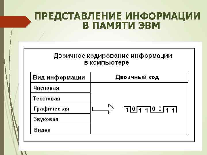 ПРЕДСТАВЛЕНИЕ ИНФОРМАЦИИ В ПАМЯТИ ЭВМ 