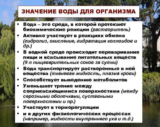 ЗНАЧЕНИЕ ВОДЫ ДЛЯ ОРГАНИЗМА • Вода – это среда, в которой протекают биохимические реакции