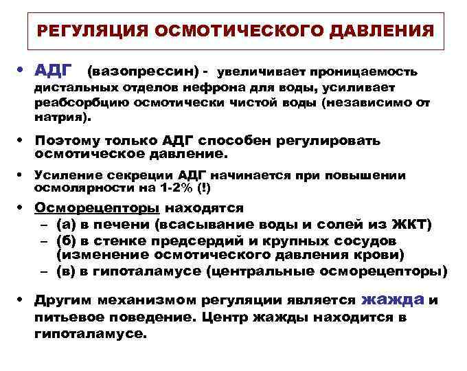 РЕГУЛЯЦИЯ ОСМОТИЧЕСКОГО ДАВЛЕНИЯ • АДГ (вазопрессин) - увеличивает проницаемость дистальных отделов нефрона для воды,