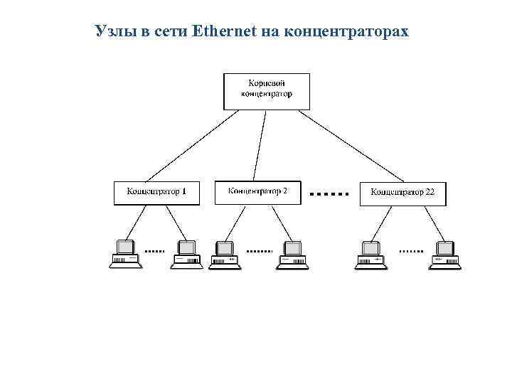 Узлы в сети Ethernet на концентраторах 