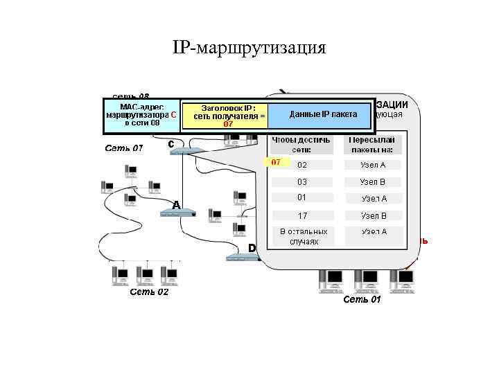 IP-маршрутизация 