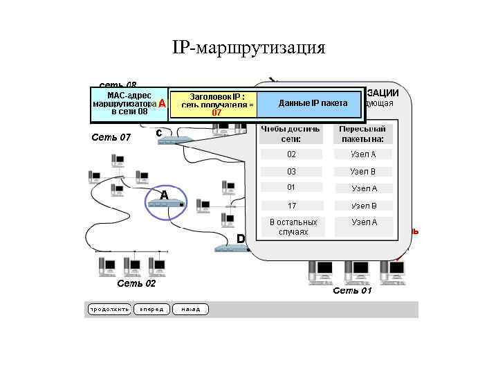 IP-маршрутизация 