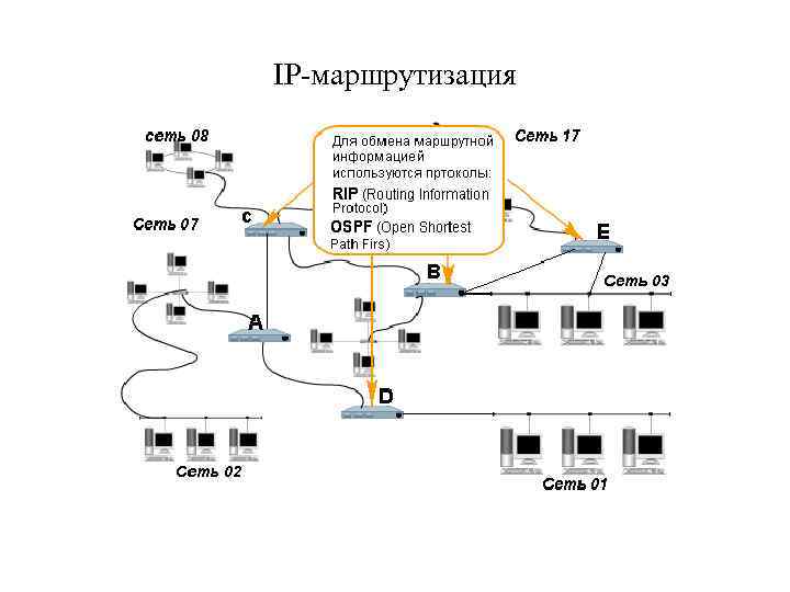 IP-маршрутизация 