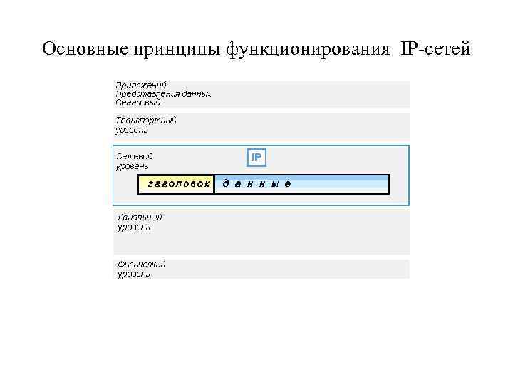 Основные принципы функционирования IP-сетей 