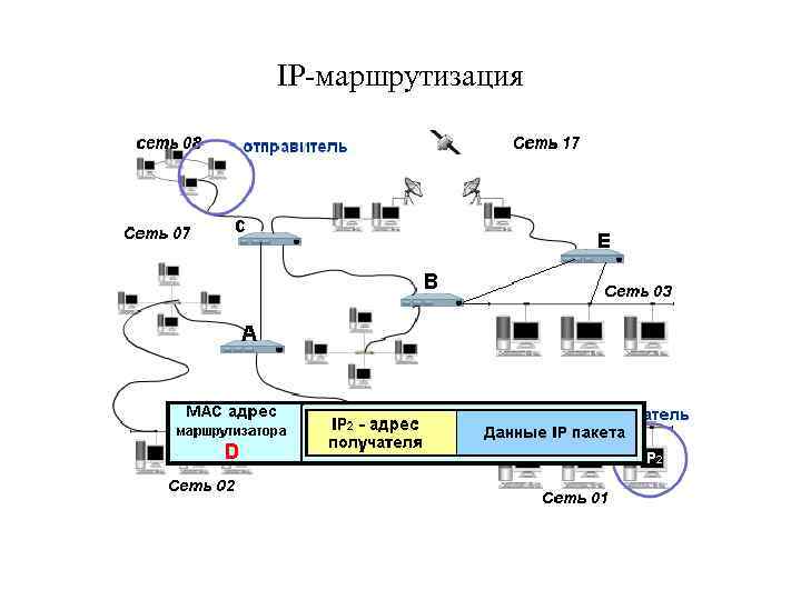 IP-маршрутизация 