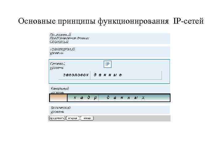 Основные принципы функционирования IP-сетей 