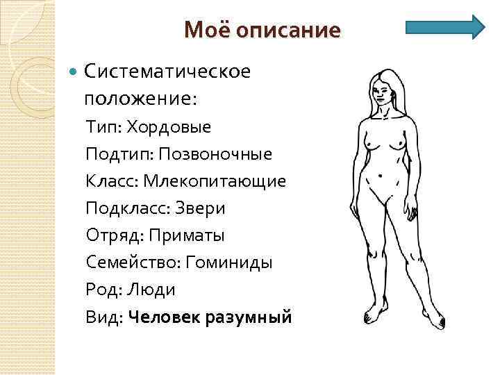 Моё описание Систематическое положение: Тип: Хордовые Подтип: Позвоночные Класс: Млекопитающие Подкласс: Звери Отряд: Приматы