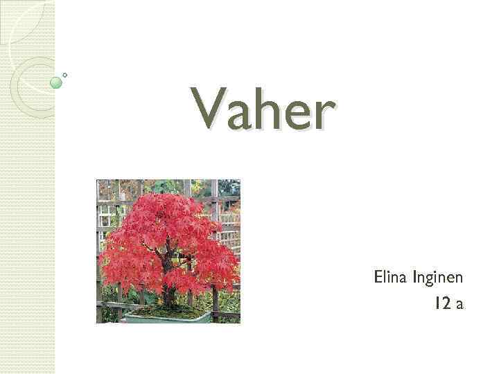 Vaher Elina Inginen 12 a 