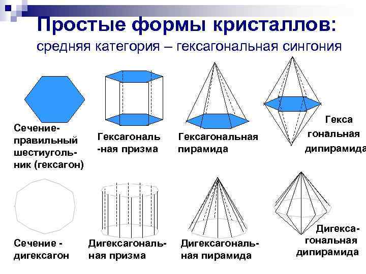 Сингония цветок фото