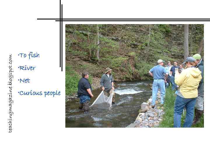 teachingmagazine. blogspot. com • To fish • River • Net • Curious people 