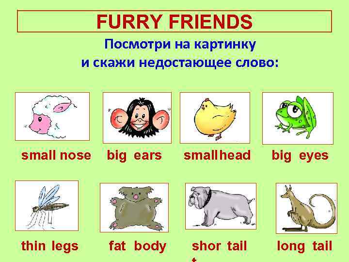 FURRY FRIENDS Посмотри на картинку и скажи недостающее слово: small nose big ears small