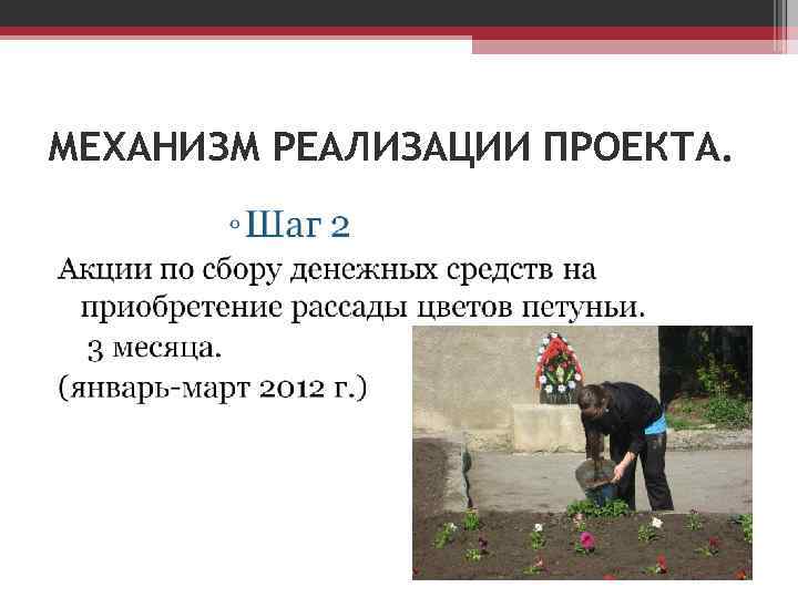 МЕХАНИЗМ РЕАЛИЗАЦИИ ПРОЕКТА. 