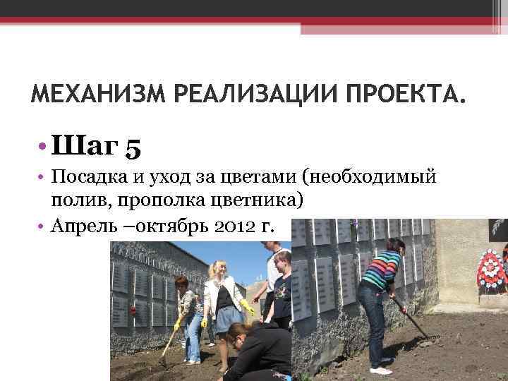 МЕХАНИЗМ РЕАЛИЗАЦИИ ПРОЕКТА. • Шаг 5 • Посадка и уход за цветами (необходимый полив,