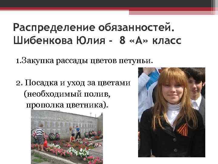 Распределение обязанностей. Шибенкова Юлия - 8 «А» класс 1. Закупка рассады цветов петуньи. 2.