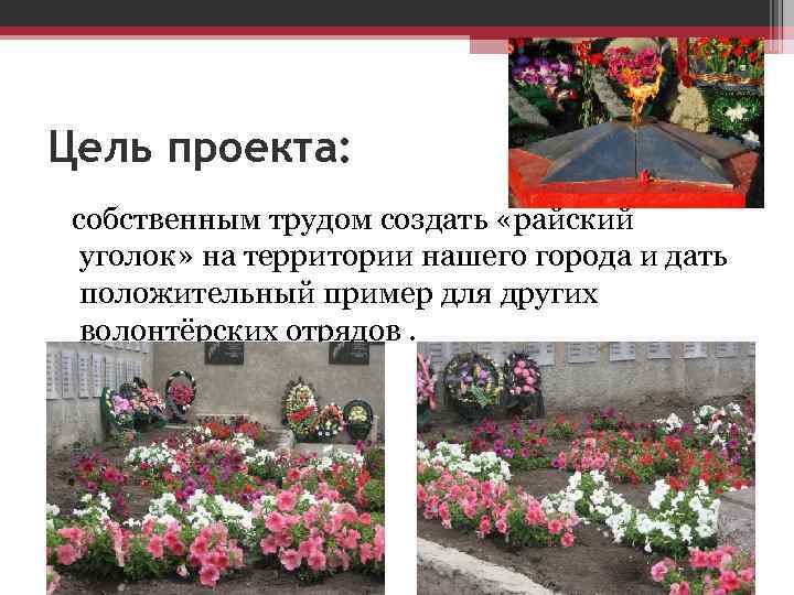 Цель проекта: собственным трудом создать «райский уголок» на территории нашего города и дать положительный