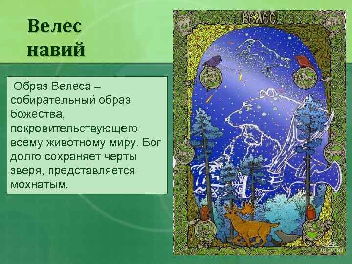 Велес навий Образ Велеса – собирательный образ божества, покровительствующего всему животному миру. Бог долго