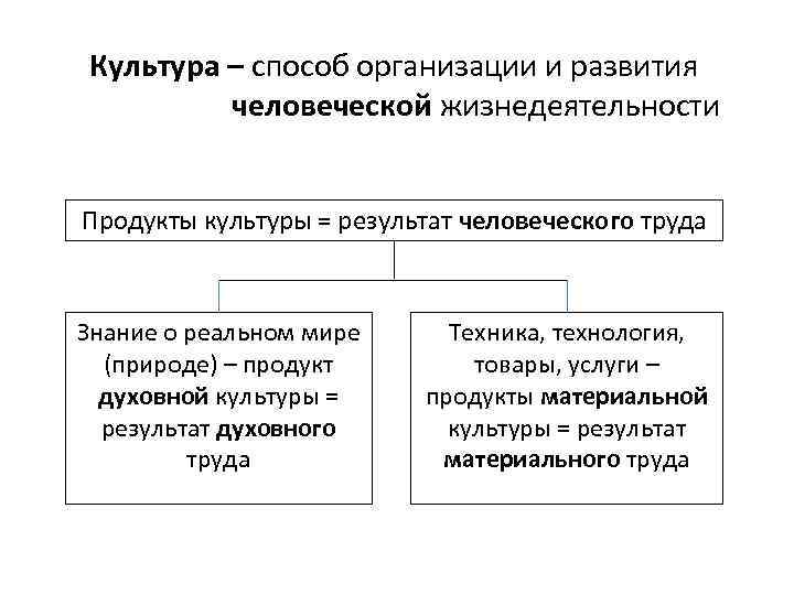 Культура – способ организации и развития человеческой жизнедеятельности Продукты культуры = результат человеческого труда