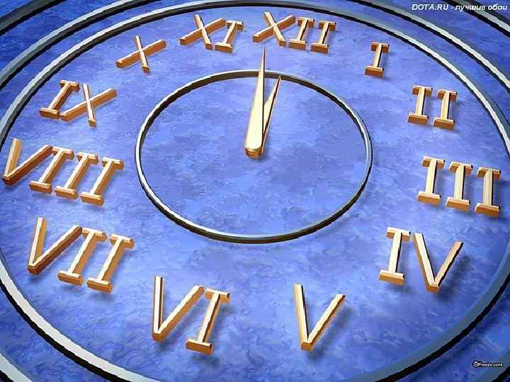 Новогодний стол • При встрече Нового года близкие собираются за столом. Готовят разные блюда: