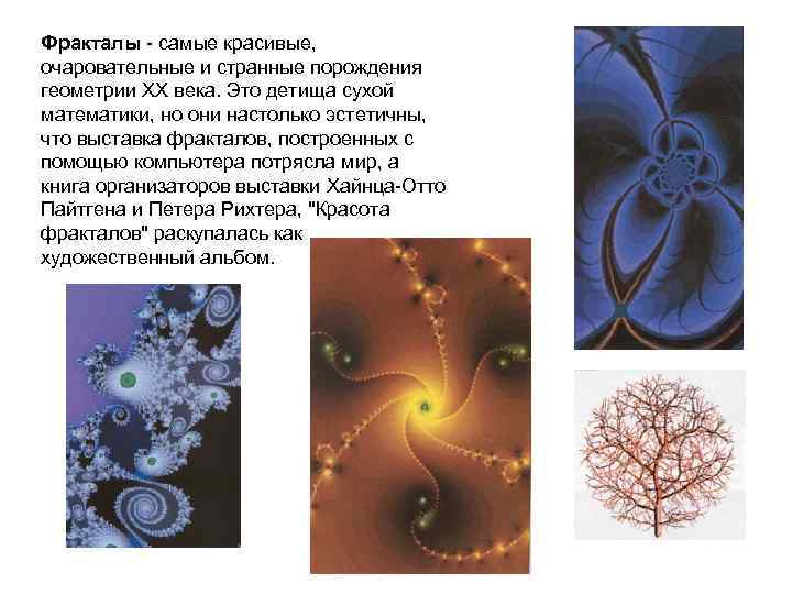 Фракталы - самые красивые, очаровательные и странные порождения геометрии XX века. Это детища сухой